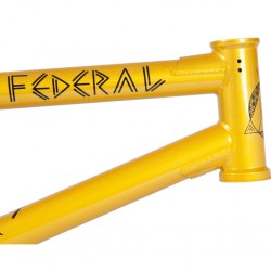 CADRE FEDERAL ANTHONY PERRIN SIGNATURE ICS2 GLOSS GOLD - image 4